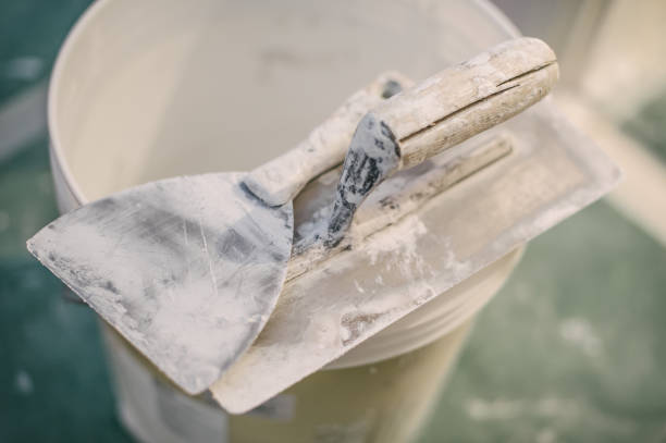 Best Commercial Mold Inspection  in Windsor, MO